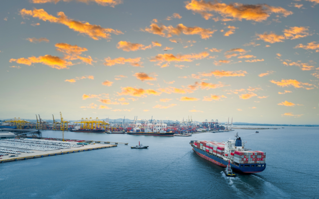 How Offshore Consulting Firms Help Companies Win Bids